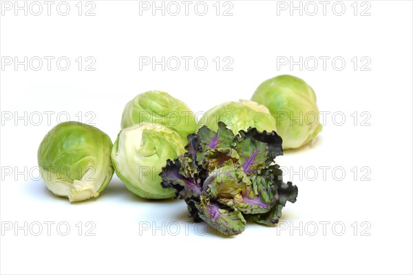 Flower Sprouts and Brussels sprouts