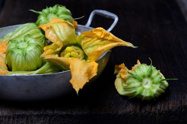 Zucchini flowers in shell