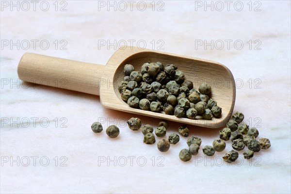 Green Malabar pepper