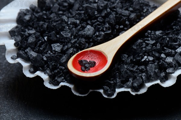 Black Hawaiian salt in shell with spoon