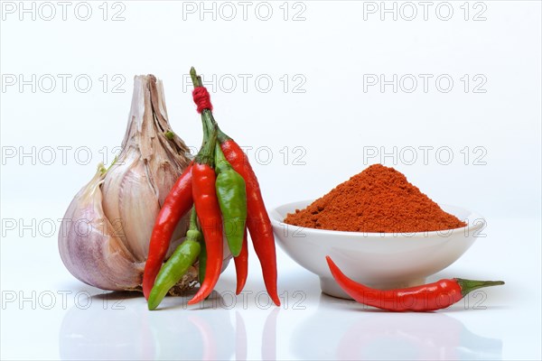 Garlicchilli powder