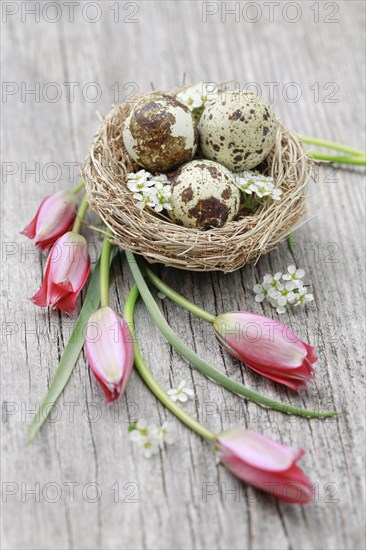 Natural Easter Decoration