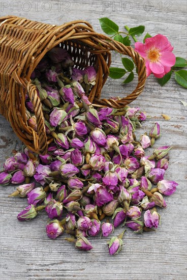 Dried rosebuds in baskets