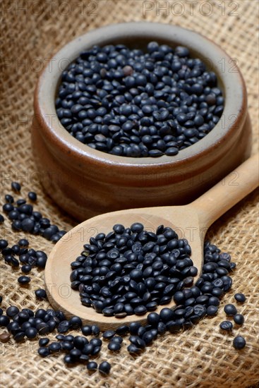 Beluga lentils in cooking spoon