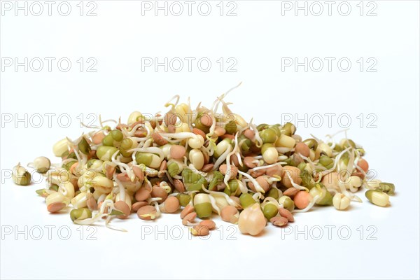 Mixed sprouts of lentils