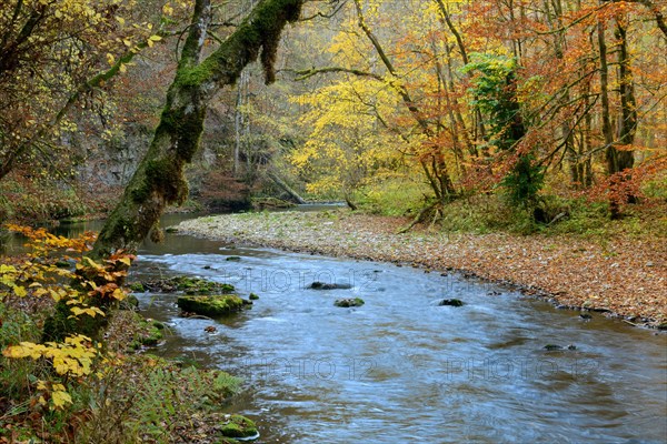 Wutach Gorge