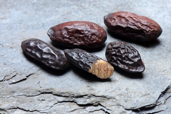 Tonka beans