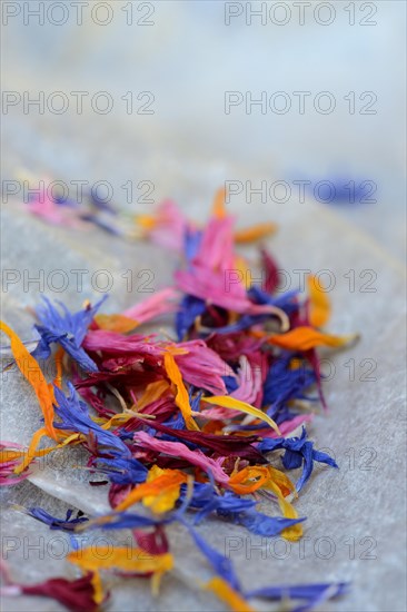 Blue leaf in wooden spoon