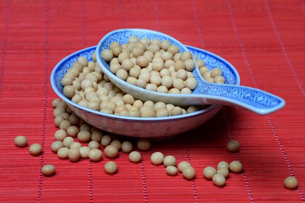 Soybeans in shell