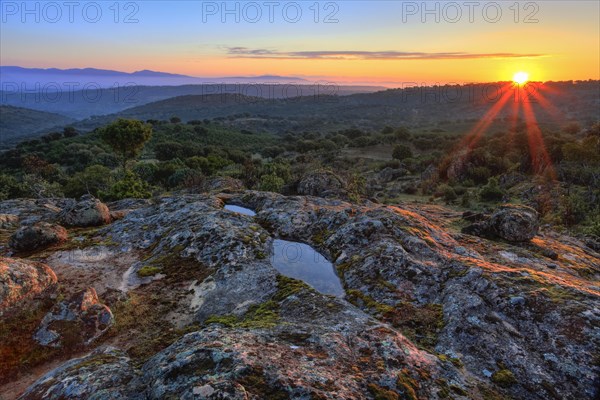 Typical landscape in the Sierra de Andujar National Park