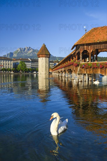 Chapel Bridge with Pilatus