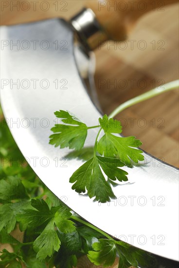 Parsley