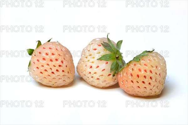White strawberries