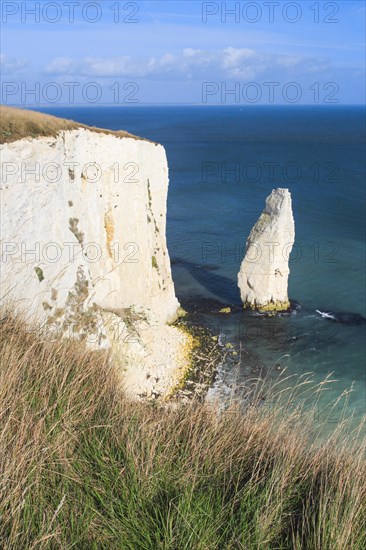 Jurassic Coast