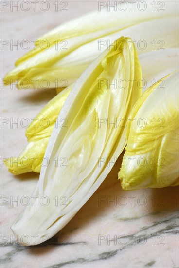 Chicory