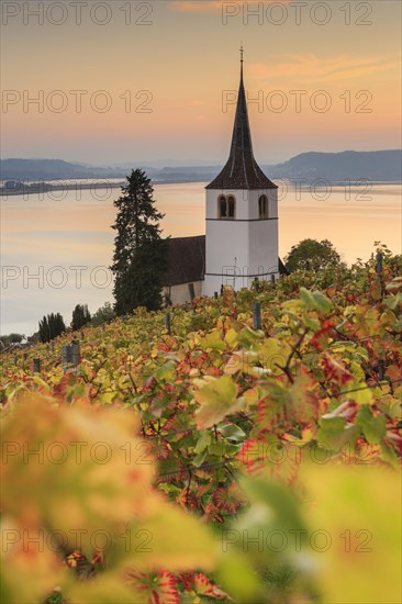 Vineyards near Ligerz on Lake Biel