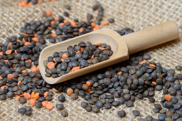 Red and green Lentils