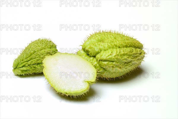 Chayote