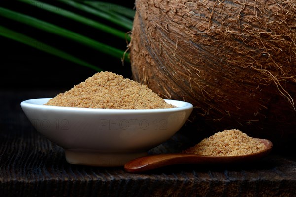 Coconut blossom sugar in shell and coconut