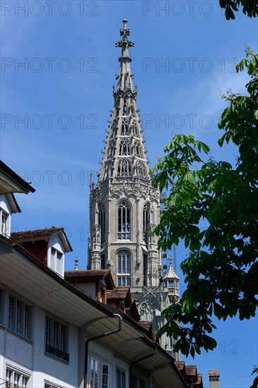 Bern Minster