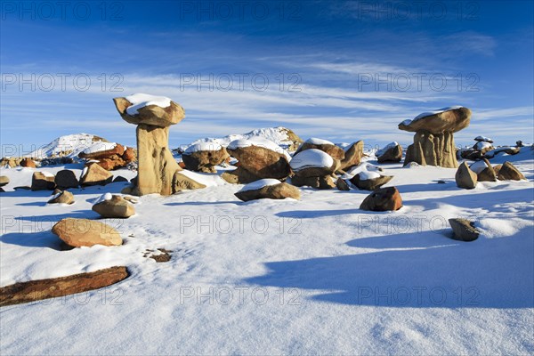 Bisti Wilderness