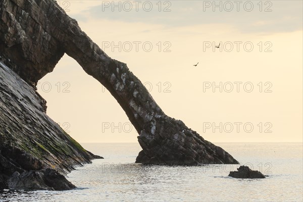 Bow Fiddle Rock