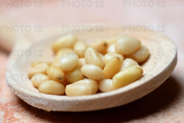 Cedar seeds with cooking spoon