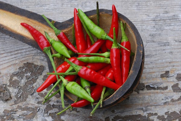 Peppers in wooden shovel