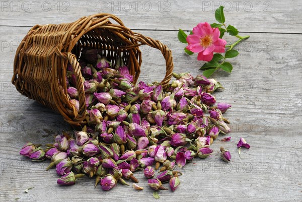 Dried rosebuds in baskets