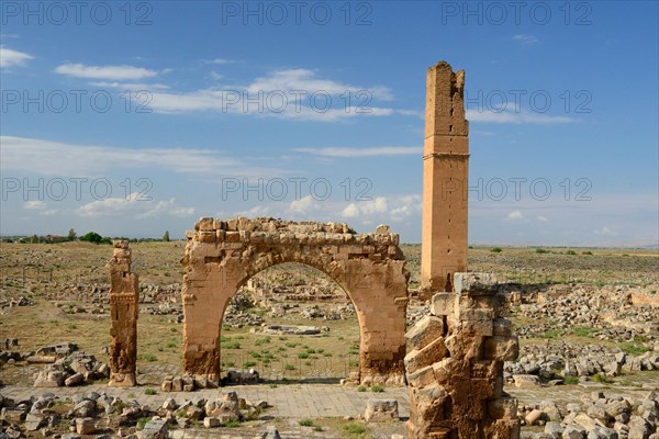 Ruins of Harran University