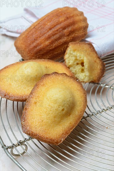 Madeleines on cake grid