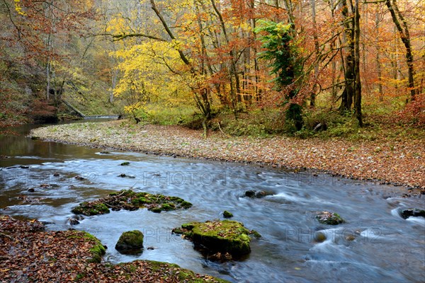 Wutach Gorge