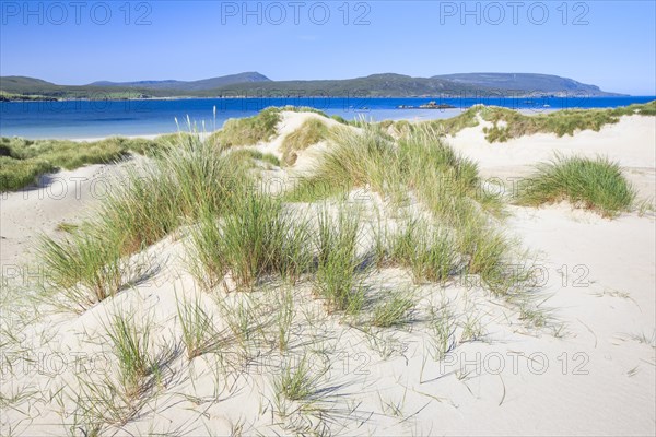 Sandy beach beach on the north coast