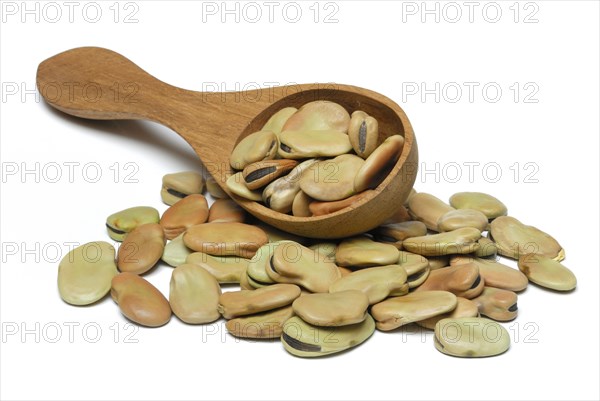 Dried fava beans