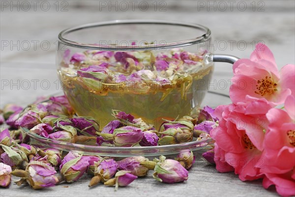 Rose tea in cup and rose buds