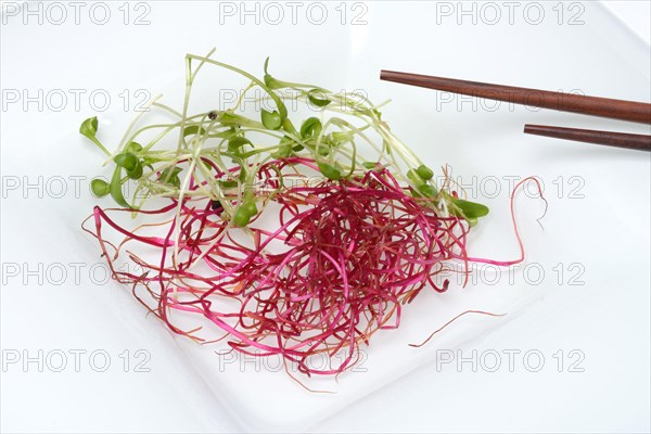 Beetroot sprouts