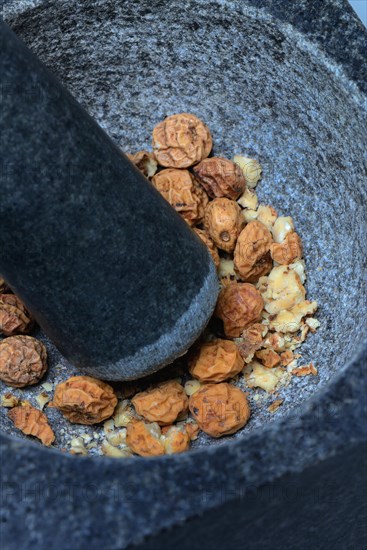 Crushed tigernuts in grating shell