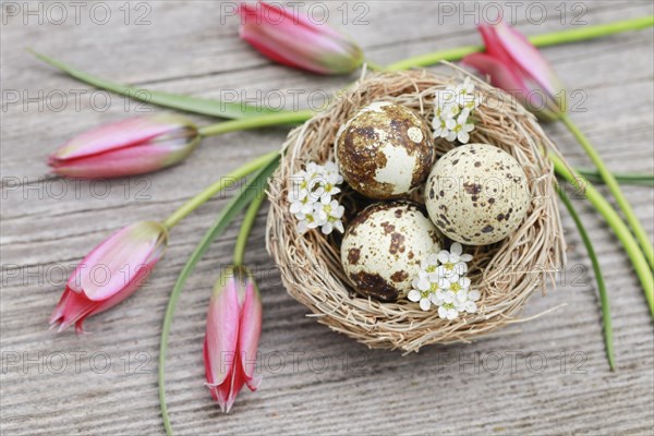 Natural Easter Decoration