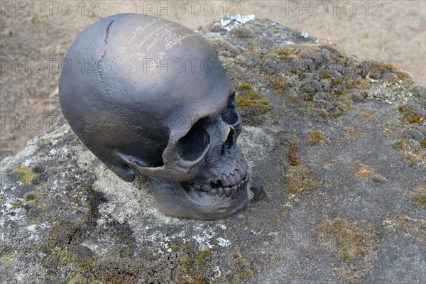 Bronze skull