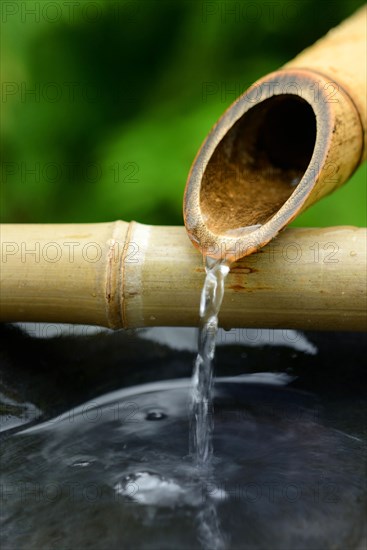 Japanese bamboo fountain