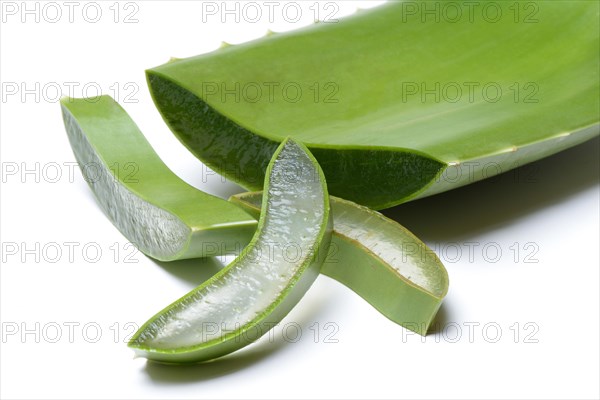 Aloe leaf discs and cut leaf