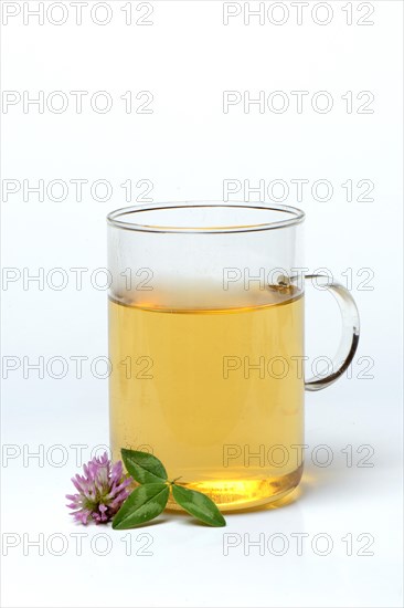 Red clover-Tea in glass
