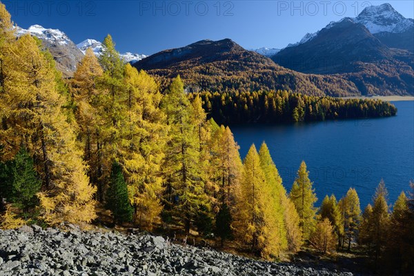 Lake Sils and Piz da la Margna