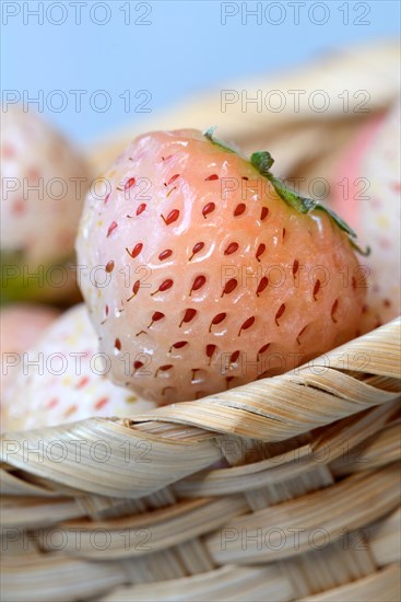 White strawberries in basket