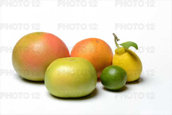 Various citrus fruits