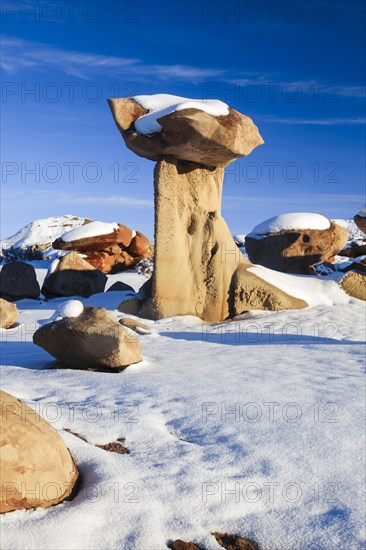 Bisti Badlands