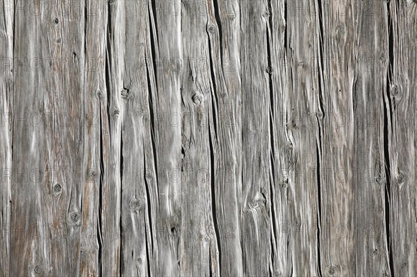 Wooden boards wall