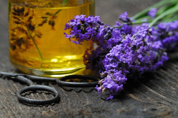 Lavender oil