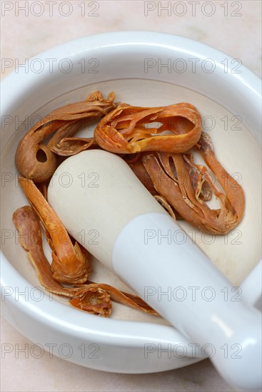 Nutmeg blossoms in grated shell