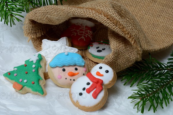 Biscuits with sugar icing